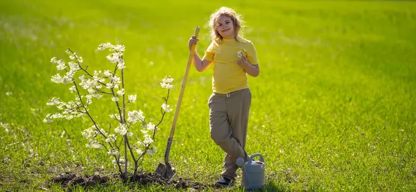 Çocuk bahçeye ağaç dikiyor. Çocuk kürekle toprak kazıyor ve ağaç dikiyor. Çocuk bahçıvan meyve ağaçlarıyla ilgileniyor. Çocuklarla ağaç dikmek. Yeşillik arayan bir çocuk. Çocuklar için bahçe.
