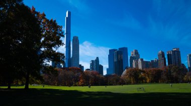 Central Park New York Şehri. New York Central Park silueti. New York 'taki ünlü Central Park. New York 'taki şehir bahçesi. Central Park yakınlarında gökdelenler. New York şehri manzarası. NYC şehir doğası