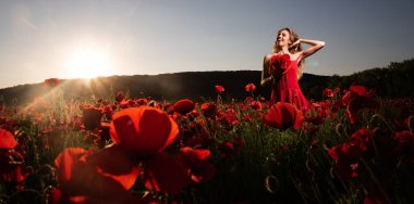 Çiçekli bir çayırda yaz güzeli bir kadın. Haşhaş tarlasında güzel bir kız. Yaz çiçekleri tarlasında romantik bir kadın. Genç ve narin bir kadın yaz otlağının tadını çıkarıyor.