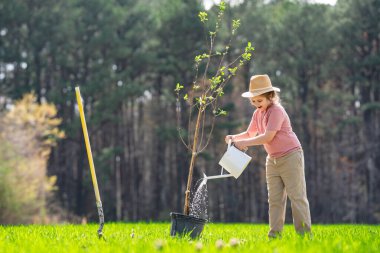 Bahar bahçesinde kürekli bir çocuk. Bahçede ağaç yetiştiren bir çocuk