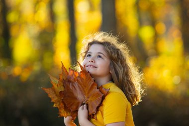 Sonbahar, sonbahar, çocuk havası. Sonbahar portakal yapraklı küçük çocuk, açık hava portresi. Sonbahar parkında güz yapraklı komik çocuk suratı. Çocuk düşen altın yapraklarla oynuyor. Çocukların açık hava portresi