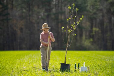 Kürekle ağaç yetiştiren çocuk. Arka bahçeye çocuk dikme ağacı. Bahar tarlasında çocuk dikimi. Sulama kutusu ve küreği olan küçük bir bahçıvan. Bahçede ağaç yetiştiren çocuk