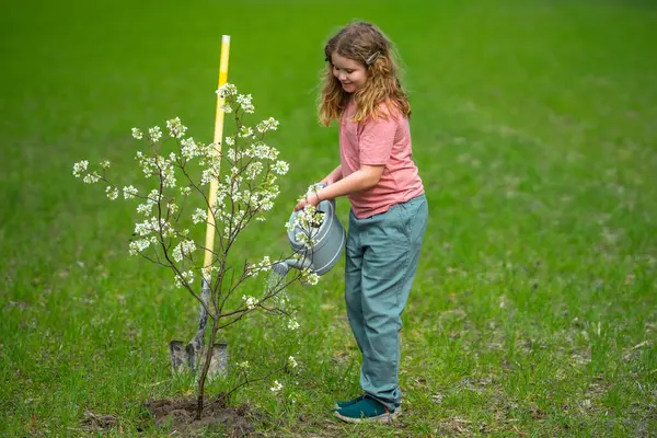 Çocuk bahar ağacı dikiyor. Çocuklar meyve ağacı gibi büyür. Kürekli çocuk bahçıvan. Çocuk meyve bahçesinde çiçek açan ağaçlarla çalışıyor. Çocuklar arka bahçeye ağaç dikiyorlar. Ağaçlarla ilgilenen genç çiftçi
