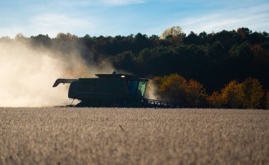 Saman ve tahıl hasadı. Buğday tarlasında hasatçıyı birleştir. Kırsal kesimde hasat. Hasat makinelerini birleştirin. Tarımsal Kombine hasat makinesi iş başında. Kırsal alan, hasat makinesiyle birleşiyor.