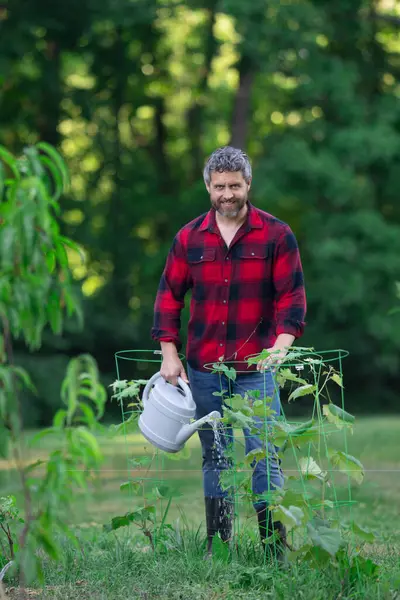 Bahçede bitki yetiştiren çiftçi. Evin arka bahçesinde tarım ağacı var. Sulama kabı olan adam. Kürekle bahçıvanlık. Ev bahçesi yetiştiriciliği. Meyve ağaçlı bahçe. Olgun çiftçi ağaç dikiyor.