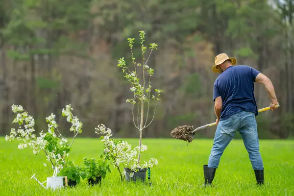 Bahçıvan toprağı kazıyor. Bahar tarlasında çalışan çiftçi. Bahçede kürekle çalışan bahçıvan. Kırsal bahçıvan arazi işliyor. Bahçedeki çiftçi bahçıvan. İşçi tohumu ekme