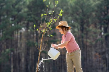 Bahçede küreği olan bir çocuk. Çocuk dikme ağacı. Sulama kabı olan küçük bir bahçıvan. Çocuklarla bahar bahçesi