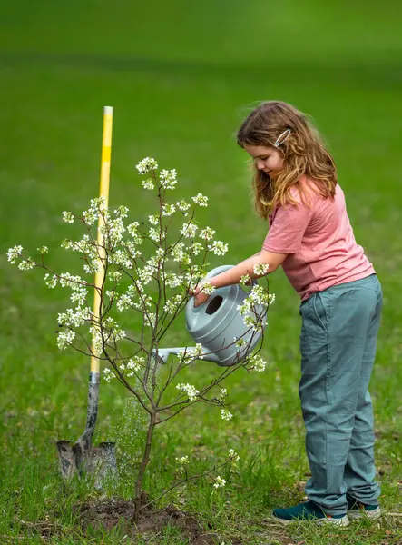 Şirin bir çiçek ve bahçedeki sulama ağacı. Bitkilerin bahar etkinliği. Çocuk kürek ve su bidonuyla çalışıyor. Çocuk meyve ağacı dikmiş. Bahçıvan çocuklar. Çocuk yetiştirme bitkisi ve ağaç bakımı