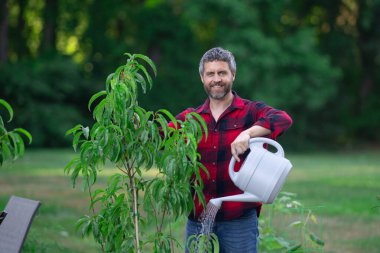 Bahçede ağaç yetiştiren olgun bahçıvan. Bahçede bahçıvan sulama ağacı. Meyve ağacı ve meyve bahçesinin yanında kürekli bahçe. Meyve ağaçlı bahçe. Bahçıvan meyve bahçesinde ağaç dikiyor.