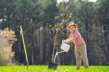 Kürekle ağaç yetiştiren çocuk. Arka bahçede ağaç yetiştiren çocuk. Bahar tarlasında ağaç yetiştiren çocuk. Sulama kutusu ve küreği olan küçük bahçıvan.