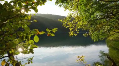 Doğanın kalbinde huzur veren bir şelale. Göllerde çağlayan şelaleler. Hırvatistan 'daki şelale durağı. Huzurlu bir vadiden çağlayan şelaleler. Plitvice 'de manzaralı bir şelale yürüyüşü