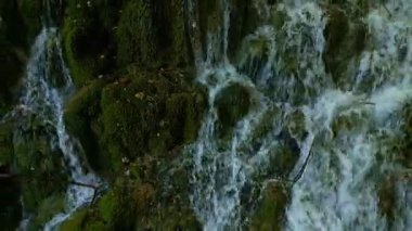 Şelaleli huzurlu doğa sahnesi. Şelalelerin panoramik hava manzarası. Güzel yeşil doğa. Plitvice gölleri ve Şelale. Hırvatistan 'daki güzel şelale manzarası. Plitvice göllerinin yaz görünümü