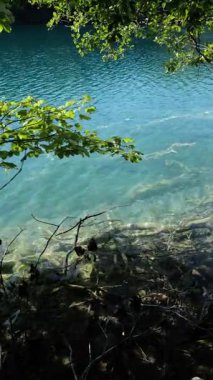 Güzellik doğası. Yazın sakin bir dağ gölü. Bir göl ve dağlarla sakin bir doğa sahnesi. Hırvatistan 'da dağlarla çevrili sakin bir göl. Plitvice Gölleri 'nin huzurlu yaz manzarası