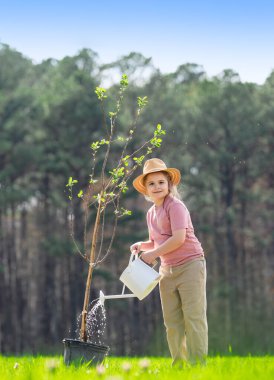 Çocuk kürekle ağaç dikiyor. Çocuk arka bahçeye ağaç dikiyor. Bahar tarlasında çocuk dikme ağacı. Sulama kovası ve kürekle ekmek. Bahçe çiftliğinde ağaç yetiştiren çocuk. Çocuk işi