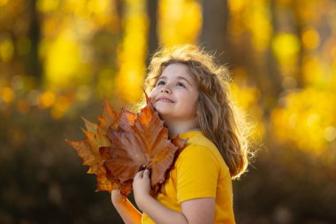 Sonbahar sonbahar parkında çocuk portresi. Sonbahar portakal yapraklı küçük çocuk, açık hava portresi. Sonbahar parkında sonbahar yapraklı şirin bir çocuk yüzü. Çocuk tutacağı düşen yapraklar. Çocukların açık hava portresi
