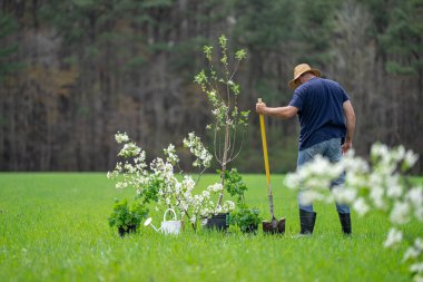 İşçi dikme ağacı. Bahçede bitki yetiştiren çiftçi. Çiftlikte çalışan bir adam. Açık havada tarım işi. Bahçe işleri yaşam tarzı. Toprak ekme hazırlığı. Yeşil çimlerde ağaç dikiyorum.