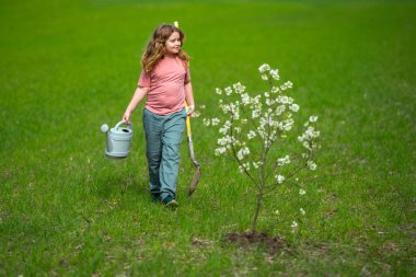 Bahçe bahçesinde çocuk bahçıvanı ağaç dikiyor. Bitkilerin bahar etkinliği. Çocuk kürek ve su bidonuyla çalışıyor. Çocuk meyve ağacı dikmiş. Bahçıvan çocuklar. Çocuk yetiştirme bitkisi ve ağaç bakımı