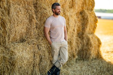 Asyalı çiftçi saman tutuyor. Buğday tarlasında çiftçi Hasat Saman 'dan sonra. Hasattan sonra ekinler. Çiftlik yaşam tarzı. Ahır, Hay Rolled Bales. Çiftlikte Saman. Çiftlik hayvanları çiftliği