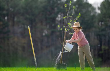 Kürekle ağaç yetiştiren çocuk. Arka bahçeye çocuk dikme ağacı. Bahar tarlasında çocuk dikimi. Sulama kutusu ve küreği olan küçük bahçıvan.