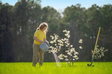 Bahçede ağaç yetiştiren bir çocuk. Çocuk kürekle toprak kazıyor ve ağaç dikiyor. Çocuk bahçıvan meyve ağaçları yetiştiriyor. Çocuklarla ağaç yetiştirmek. Çocuklar için bahçe işleri. Kürekli çocuk ağaç yetiştiriyor.