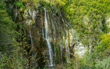 Hırvatistan 'daki Plitvice Göllerinde Şelale. Ormandaki şelaleler. Yaz manzaralı güzel şelaleler ve berrak göl. Plitvice Lakes Ulusal Parkı, Hırvatistan. Yaz doğa manzarası