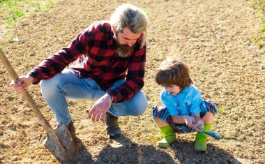 Aile ekimi. Oğlu bahçede babasına yardım ediyor. Baba ve çocuk bahçede bahçıvanlık yapıyor. Aile bitkisi yetiştiriyoruz. Bahçede küreği olan baba ve oğul. Baba oğul bahçede bir bitki yetiştiriyor. Küçük bahçıvan.