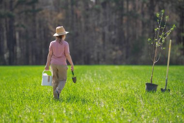 Bahçede küreği olan bir çocuk. Bahçede ağaç yetiştiren bir çocuk. Çocuk dikme ağacı. Çocuklarla bahar bahçesi. Bahçedeki çocuk sulama ağacı