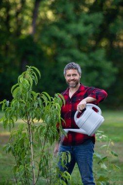 Bahçede ağaç yetiştiren olgun bahçıvan. Bahçede bahçıvan sulama ağacı. Meyve ağacı ve meyve bahçesinin yanında kürekli bahçe. Meyve ağaçlı bahçe. Bahçıvan meyve bahçesinde ağaç dikiyor.