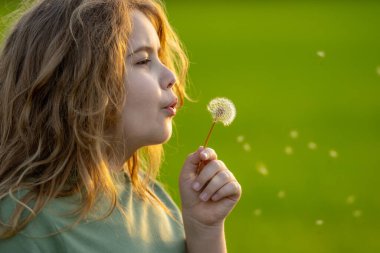 Çocuk bir karahindiba üflüyor. Çocuk bahar tarlasında karahindiba ile oynuyor. Çocuk rüya görür. Çocuk baharın tadını çıkarıyor ve karahindiba tohumları saçıyor. Yaz otlağındaki çocuk. Çocuk karahindiba üflüyor.