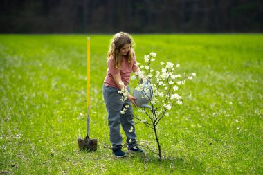 Çocuk dikme ağacı. Çocuk kürek ve su bidonuyla çalışıyor. Çocuk meyve ağacı dikmiş. Bahçıvan çocuklar. Çocuk ağaç dikmek ve onunla ilgilenmek. Elinde kürek olan, ekmeye hazır bir çocuk. Ağaçlarla ilgilenen genç çiftçi