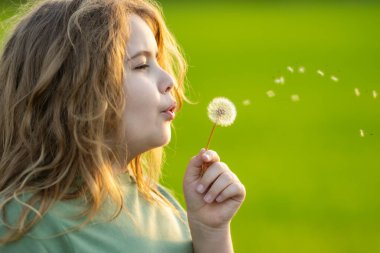 Çocuk bir karahindiba üflüyor. Çocuk bahar tarlasında karahindiba ile oynuyor. Çocuk rüya görür. Çocuk baharın tadını çıkarıyor ve karahindiba tohumları saçıyor. Yaz otlağındaki çocuk. Çocuk karahindiba üflüyor.