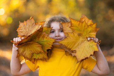 Akçaağaç yapraklı çocuklar arka planda. Sonbahara yakın bir çocuk güneş ışığında yapraklarını döküyor. Sonbahar sonbahar parkında küçük bir çocuk. Çocuklar ve yapraklar, dökülen yapraklar. Sonbahar yaprağı hamile. Düşen yapraklar