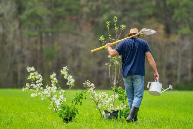 Çiftçilik ağacı. Bahçede bitki yetiştiren çiftçi. Çiftlikte çalışan çiftçi. Pınar tarlasında çalışan çiftçi. Bahçe hayatı. Toprak ekme hazırlığı. Yeşil çimlerde ağaç dikiyorum.
