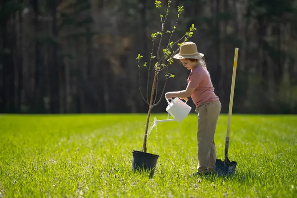 Çocuk bahçıvanlığı. Bahçede ağaç yetiştiren bir çocuk. Çocuk dikme ağacı. Kürekle çalışan küçük bir bahçıvan. Çocuklarla bahar bahçıvanlığı. Bahçede çocuk sulama bitkileri. Bahçeyle ilgilenen çocuk