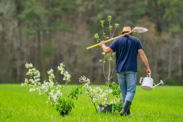 Çiftçilik ağacı. Bahçede bitki yetiştiren çiftçi. Çiftlikte çalışan çiftçi. Pınar tarlasında çalışan çiftçi. Bahçe hayatı. Toprak ekme hazırlığı. Yeşil çimlerde ağaç dikiyorum.