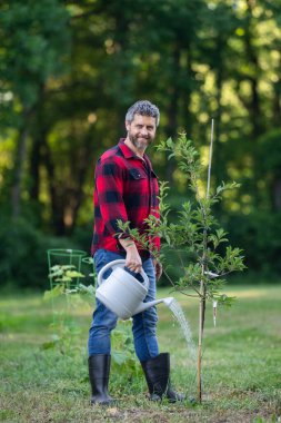 Bahçede bitki yetiştiren çiftçi. Evin arka bahçesinde tarım ağacı var. Sulama kabı olan adam. Kürekle bahçıvanlık. Ev bahçesi yetiştiriciliği. Meyve ağaçlı bahçe. Olgun çiftçi ağaç dikiyor.
