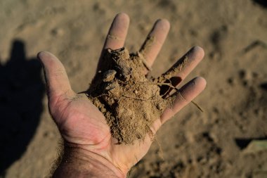 Çiftçi toprak topluyor. Agronomist çiftlikteki toprağı ve bitki sağlığını kontrol ediyor. Toprak çiftçilerin elinde. Toprak ekime hazır. Ekim mevsimi. Humus verimli toprak ekime hazır. Grunge kirlenmesi