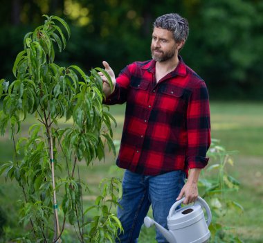 Bahçede bitki yetiştiren olgun bir bahçıvan. Bahçedeki bahçıvan ağacı. Bahçıvan adam ağaç dikmiş. Bahçıvanlık ve su kovası. Ev bahçesi. Meyve ağaçlı bahçe. Bahçıvan meyve bahçesinde ağaç dikiyor.