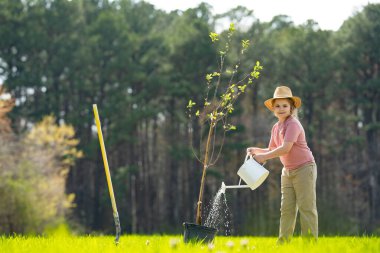 Kürekle ağaç yetiştiren çocuk. Arka bahçeye çocuk dikme ağacı. Bahar tarlasında çocuk dikimi. Sulama kutusu ve küreği olan küçük bahçıvan.