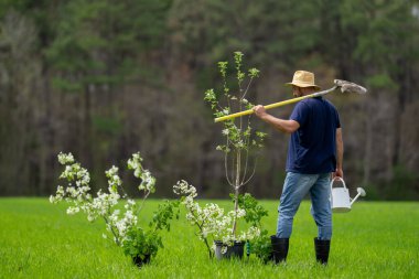 İşçi dikme ağacı. Bahçede bitki yetiştiren çiftçi. Sahada çalışan bir adam. Açık havada tarım işi. Bahçe işleri yaşam tarzı. Toprak ekme hazırlığı. Yeşil çimlerde ağaç dikiyorum.