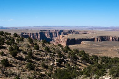 Canyon Ulusal Parkı. Kanyonlar çöl manzarası. Nevada 'daki Kanyon Çölü