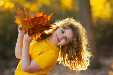 Akçaağaç yapraklı çocuklar arka planda. Sonbahara yakın bir çocuk güneş ışığında yapraklarını döküyor. Sonbahar sonbahar parkında küçük bir çocuk. Çocuklar ve yapraklar, dökülen yapraklar. Sonbahar yaprağı. Düşen yapraklar