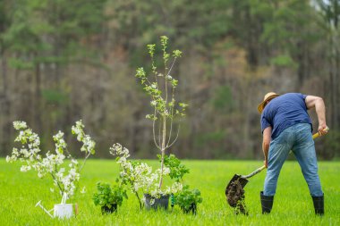 Bahçıvan toprağı kazıyor. Bahar tarlasında çiftçi kazısı. Bahçede kürekle çalışan bahçıvan. Kırsal bahçıvan toprak kazıyor. Meyve bahçesini kazan çiftçi. İşçi tohumu ekme