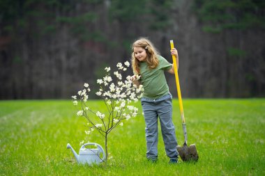 Çocuk dışarıda ağaç dikiyor. Çocuklar meyve ağacı gibi büyür. Kürekli çocuk bahçıvan. Çocuk meyve bahçesinde çiçek açan ağaçlarla çalışıyor. Çocuklar arka bahçeye ağaç dikiyorlar. Ağaçlarla ilgilenen genç çiftçi