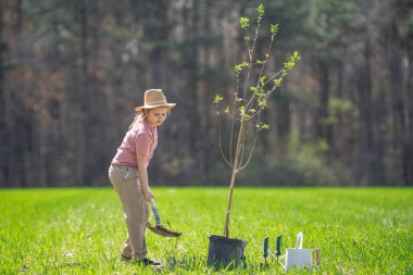 Komik çocuk kürekle ağaç dikiyor. Çocuk arka bahçeye ağaç dikiyor. Bahar tarlasında ağaç diken çocuk. Sulama kovası ve kürekle ekmek. Bahçe çiftliğinde ağaç yetiştiren çocuk. Çocuklar çalışır.