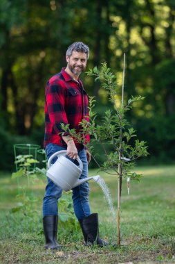 Bahçede bitki yetiştiren adam. Çiftçi sulama ağacı evin arka bahçesinde. Sulama tenekesi kullanan bir adam. Kürekle bahçıvanlık. Ev bahçesi yetiştiriciliği. Bahçe yeşillikle dolu.