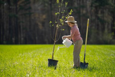 Bahar tarlasında çocuk dikme ağacı. Sulama kovası ve kürekle ekmek. Bahçe çiftliğinde ağaç yetiştiren çocuk. Çocuk işi