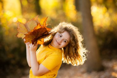 Sonbahar sonbahar parkında çocuk portresi. Küçük çocuk sonbahar yapraklarını, açık hava portresini tutar. Sonbahar parkında sonbahar yapraklı şirin bir çocuk yüzü. Çocuk tutacağı düşen yapraklar. Çocukların açık hava portresi