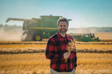 Amerikan çiftçisinin buğday tarlasındaki portresi. Çiftçi çiftlikteki hasatı inceliyor. Buğday çiftçiliğe hazır. Çiftçilerin ektiği topraklar. Çiftçi bitkilerin büyümesini inceliyor. Tarlada yürüyen bir tarım işçisi