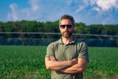 Bir çiftçi mısır tarlasını inceliyor. Çiftçi mısır yetiştirmek için çiftlikte çalışıyor. Kırsal kesimde bir erkek çiftçinin portresi. Tarım işçisi, çiftçi